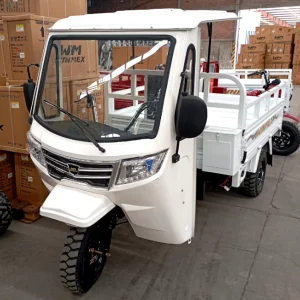 Motocarro WM250ZH