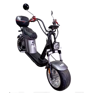 Motocicleta HM01