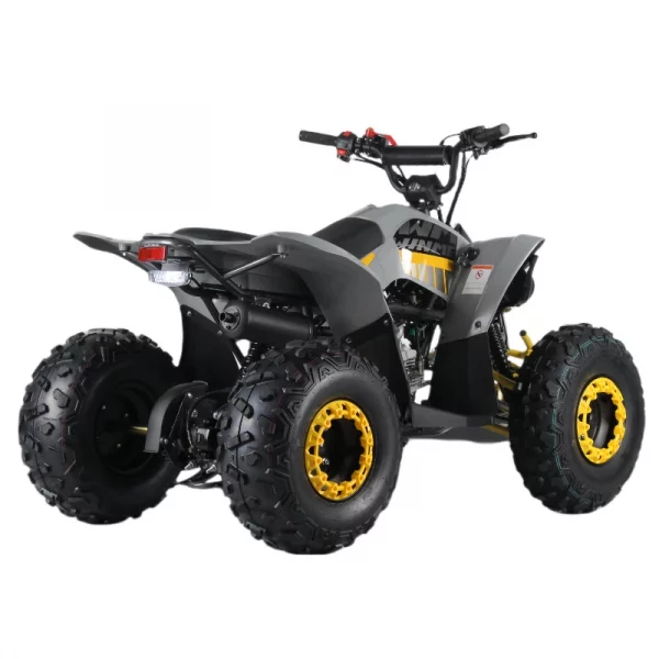 Cuatrimoto MH125 - Image 4