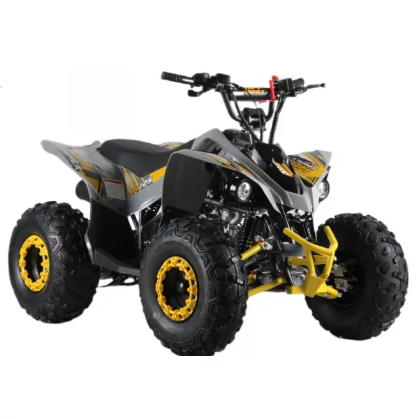 Cuatrimoto MH125 - Image 5