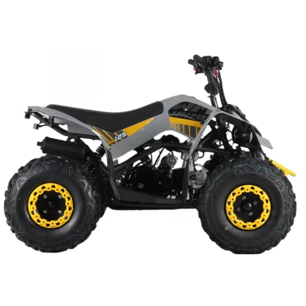 Cuatrimoto MH125