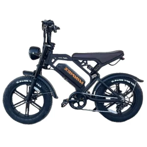 Bicicleta eléctrica DB01