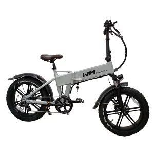 Bicicleta eléctrica FB01