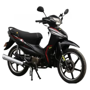 MOTOCICLETA SURF 125